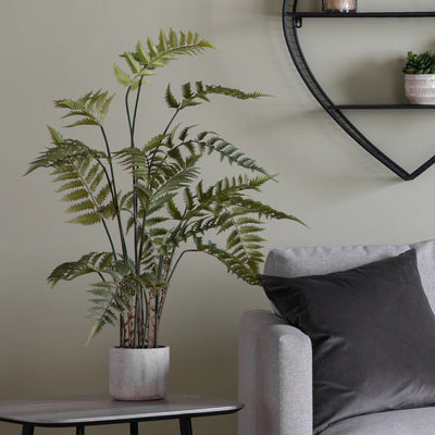 Bringing Nature Inside: A Guide to Stylishly Introducing Plants into Your Space