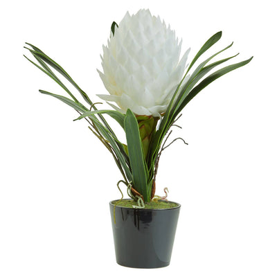 Noosa & Co. Accessories Fiori White Tropical Plant House of Isabella UK