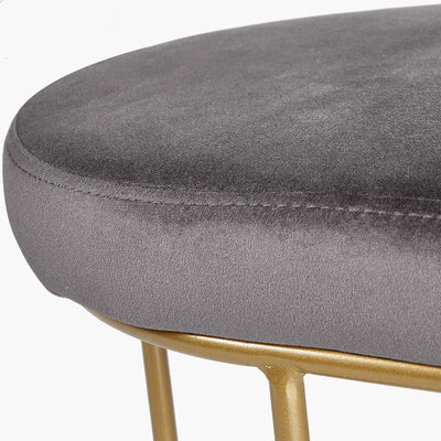 Pacific Lifestyle Living Nino Dove Grey Velvet Bench with Gold Metal Frame House of Isabella UK