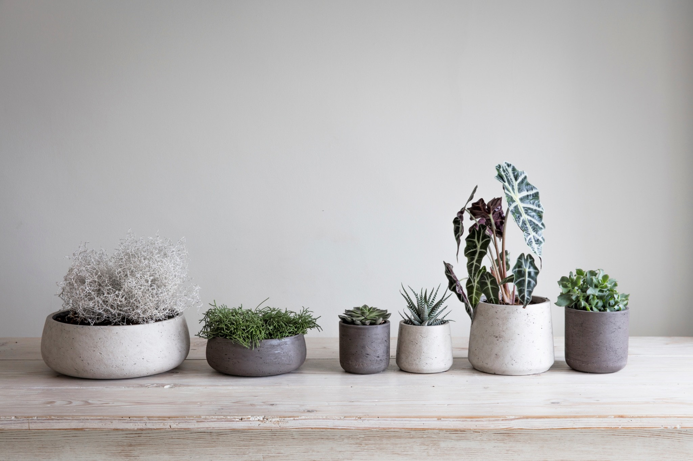 Artificial Faux Plants and Planter Accessories - House of Isabella UK