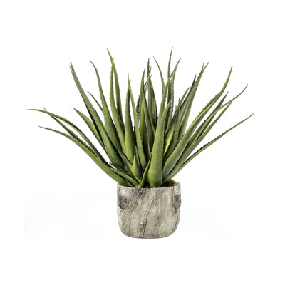 Bodhi Accessories Aloe with Bark Effect Pot House of Isabella UK