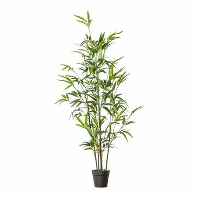 Bodhi Accessories Bamboo with 330 Leaves House of Isabella UK