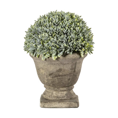 Bodhi Accessories Boxwood with  Stone Effect Urn House of Isabella UK