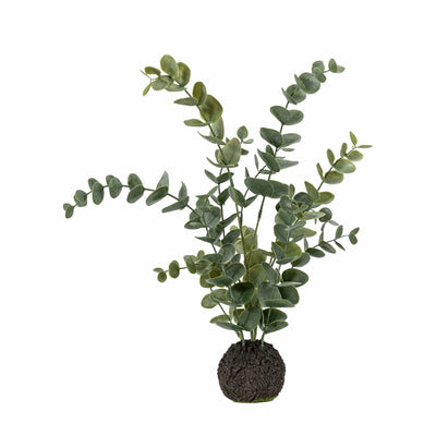 Bodhi Accessories Erica Eucalyptus in Soil - Dusty Green House of Isabella UK
