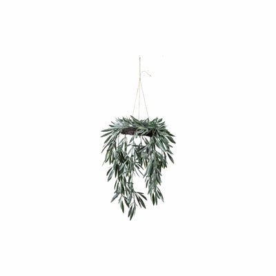 Bodhi Accessories Eucalyptus Hanging Wreath House of Isabella UK