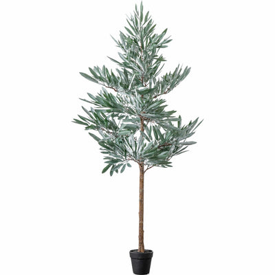 Bodhi Accessories Eucalyptus Tree Green Large House of Isabella UK