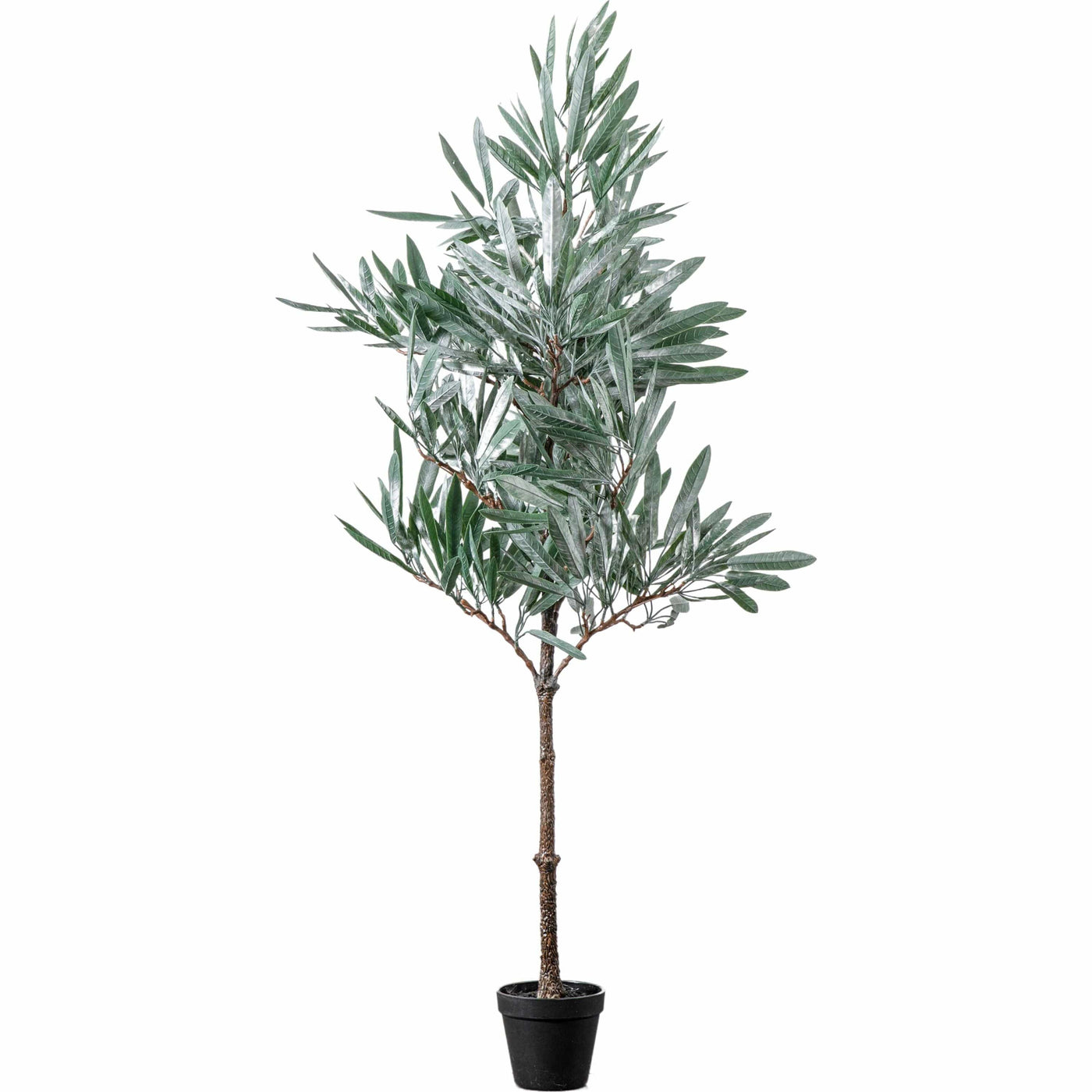Bodhi Accessories Eucalyptus Tree Green Small House of Isabella UK