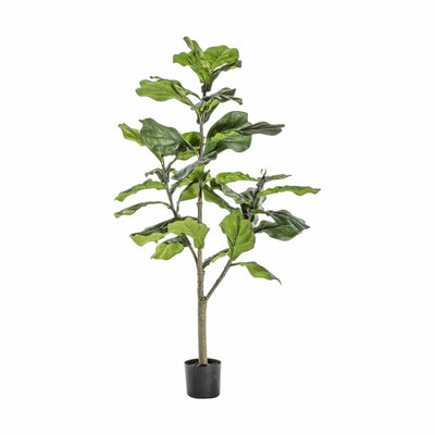 Bodhi Accessories Fiddle Tree with 39 Leaves House of Isabella UK
