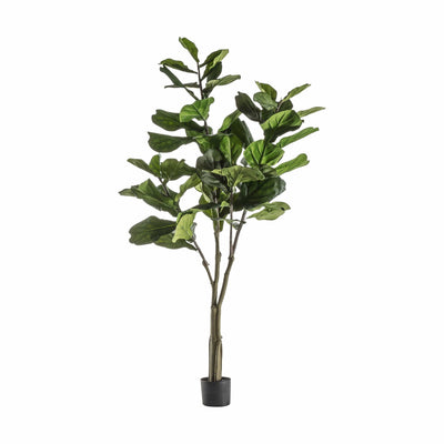 Bodhi Accessories Fiddle Tree with 65 Leaves House of Isabella UK