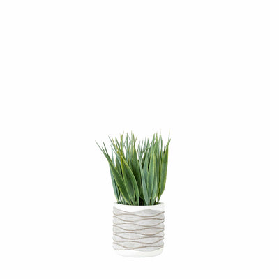Bodhi Accessories Gianna Grass in Wavy Pot Small (2pk) House of Isabella UK