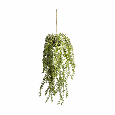 Bodhi Accessories Hanging Cactus Horsetail House of Isabella UK