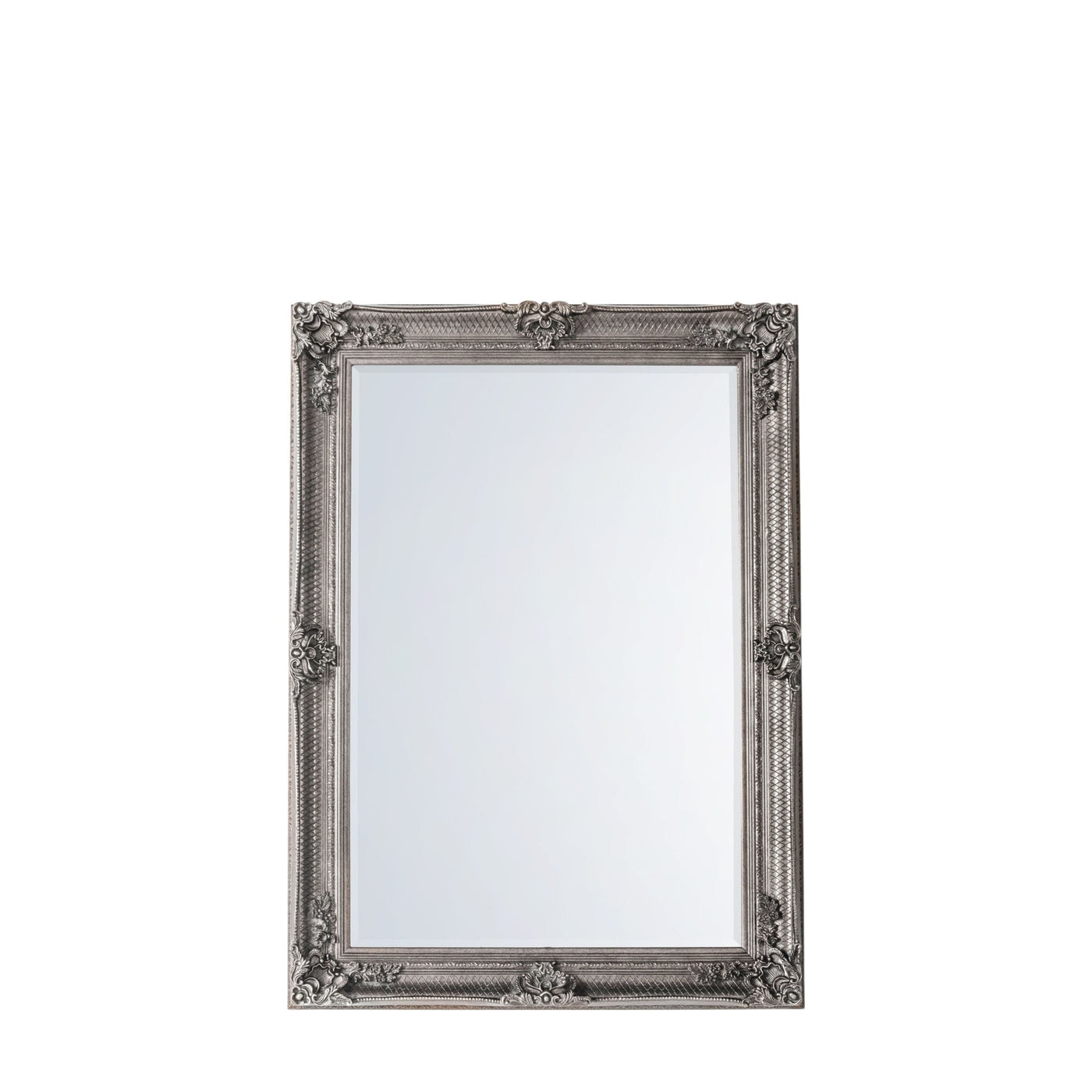 Bodhi Sleeping Abbots Rectangle Mirror Silver 43x31" House of Isabella UK