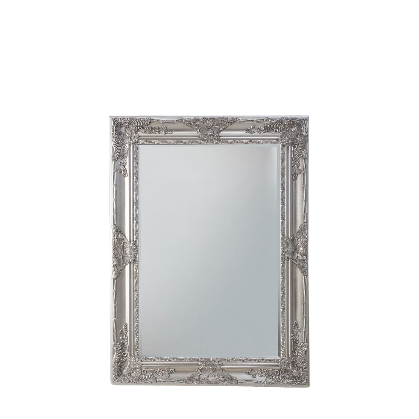 Bodhi Sleeping Caulcott Rectangle Mirror Silver 45x33" House of Isabella UK