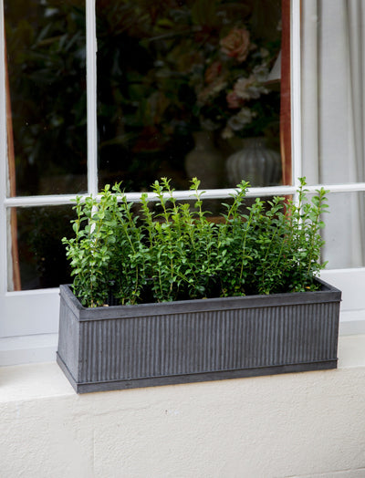 Garden Trading Accessories Vence Window Box - 60cm House of Isabella UK