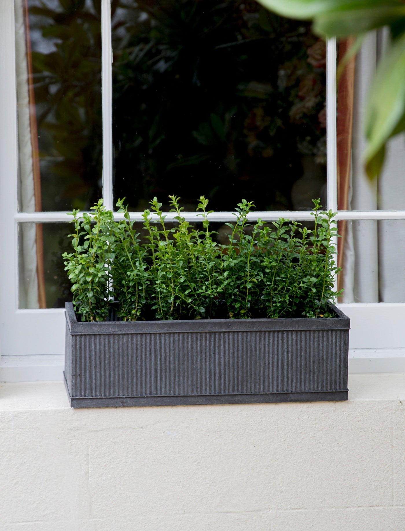 Garden Trading Accessories Vence Window Box - 60cm House of Isabella UK