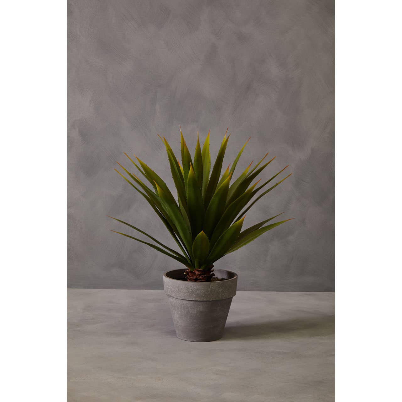 Noosa & Co. Accessories Fiori Agave Succulent House of Isabella UK