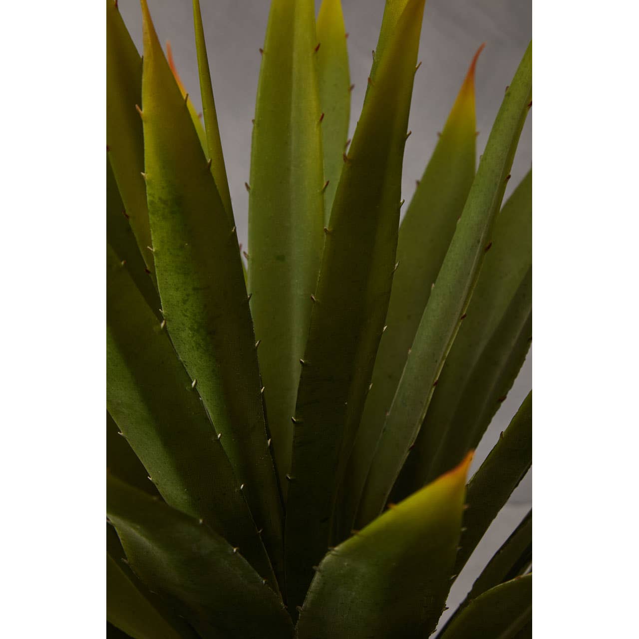 Noosa & Co. Accessories Fiori Agave Succulent House of Isabella UK