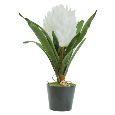 Noosa & Co. Accessories Fiori White Tropical Plant House of Isabella UK