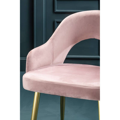 Noosa & Co. Dining Dani Dusky Pink Velvet Dining Chair House of Isabella UK