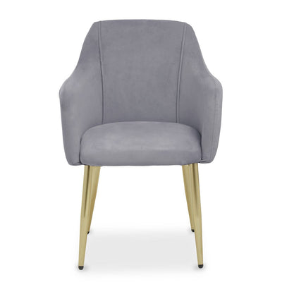 Noosa & Co. Dining Darcy Grey Velvet Dining Chair House of Isabella UK