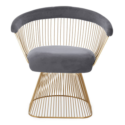 Noosa & Co. Living Anzio Grey Velvet And Brushed Gold Chair House of Isabella UK