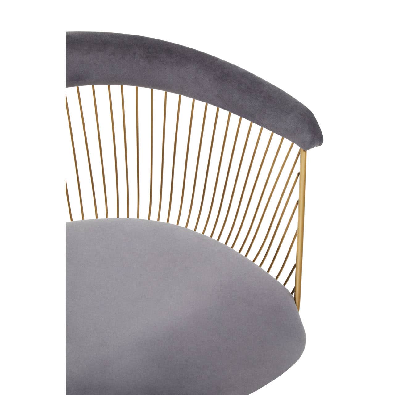 Noosa & Co. Living Anzio Grey Velvet And Brushed Gold Chair House of Isabella UK