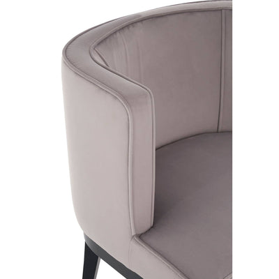 Noosa & Co. Living Daxton Light Grey Velvet Chair House of Isabella UK