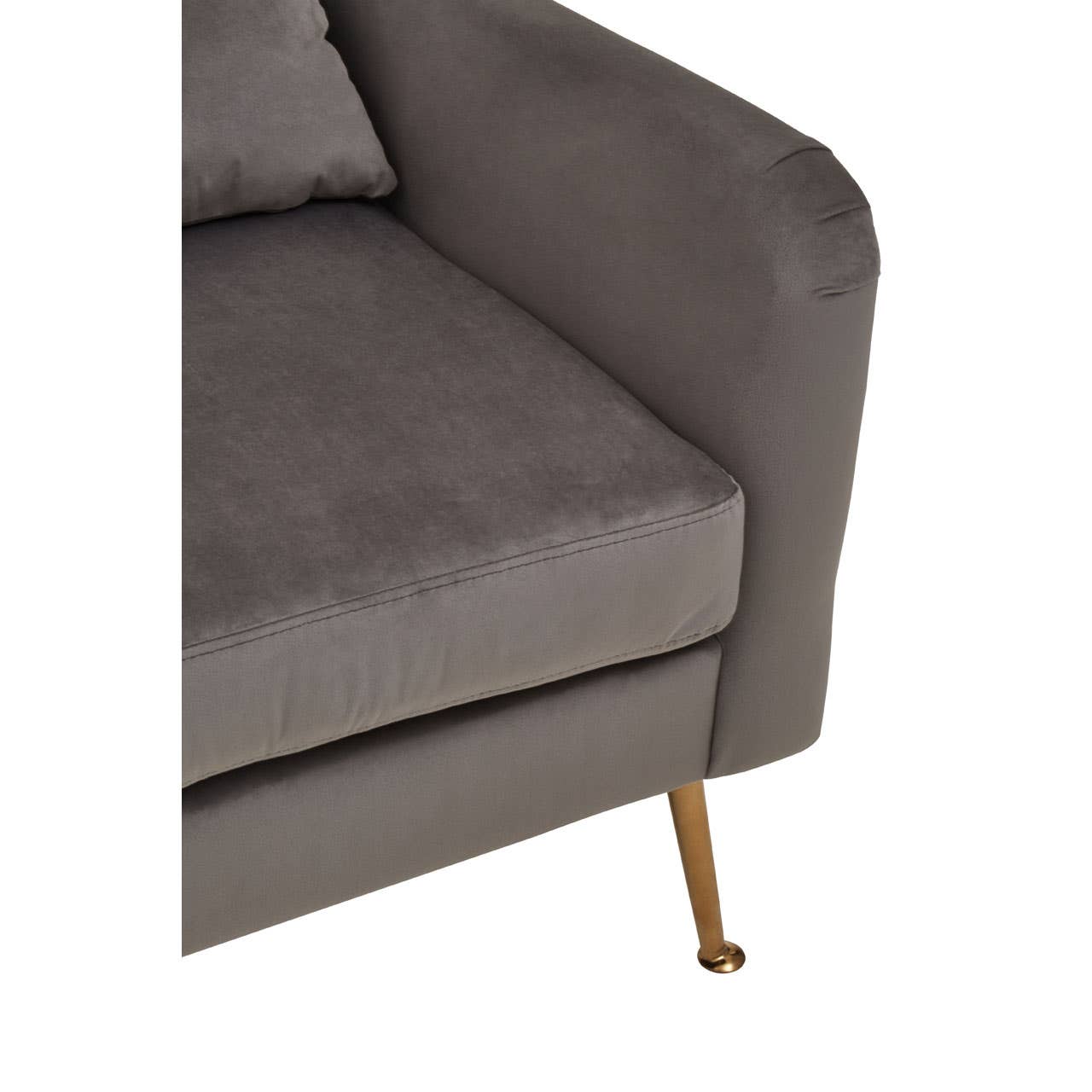 Noosa & Co. Living Doucet Grey Velvet Chair With Gold Finish Legs House of Isabella UK