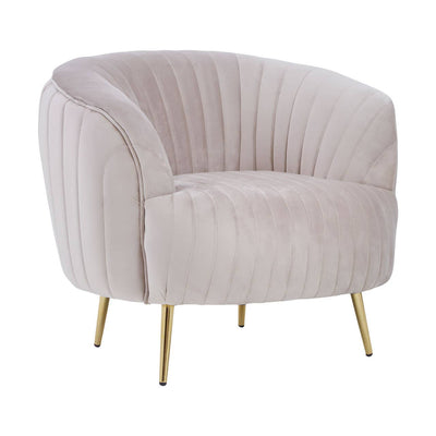 Noosa & Co. Living Florina Mink Velvet Chair With Gold Legs House of Isabella UK