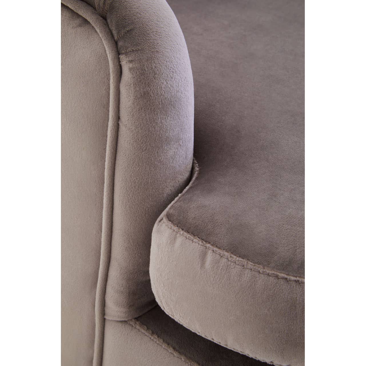 Noosa & Co. Living Loretta Mink Velvet Armchair House of Isabella UK