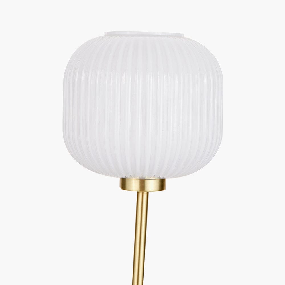 Pacific Lifestyle Lighting Bella White Ribbed Glass & Gold Metal Squoval Floor Lamp House of Isabella UK