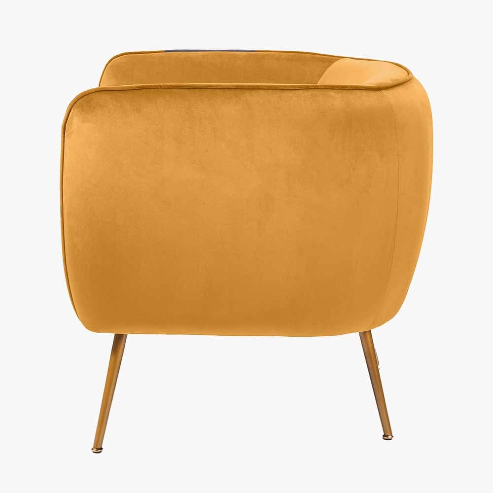 Pacific Lifestyle Living Lucca Gold Velvet and Metal Armchair House of Isabella UK