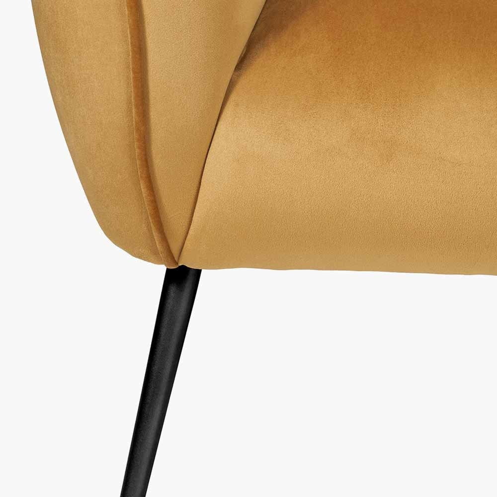 Pacific Lifestyle Living Lucca Gold Velvet and Metal Sofa House of Isabella UK