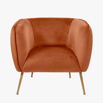 Pacific Lifestyle Living Lucca Tobacco Velvet and Metal Armchair House of Isabella UK