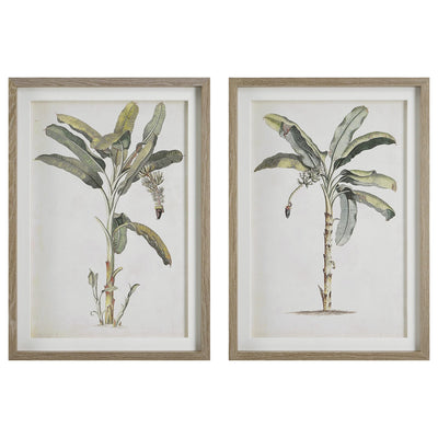 Uttermost Accessories Banana Palm Framed Prints, Set/2 House of Isabella UK