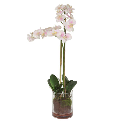 Uttermost Accessories Blush Pink and White Orchid House of Isabella UK