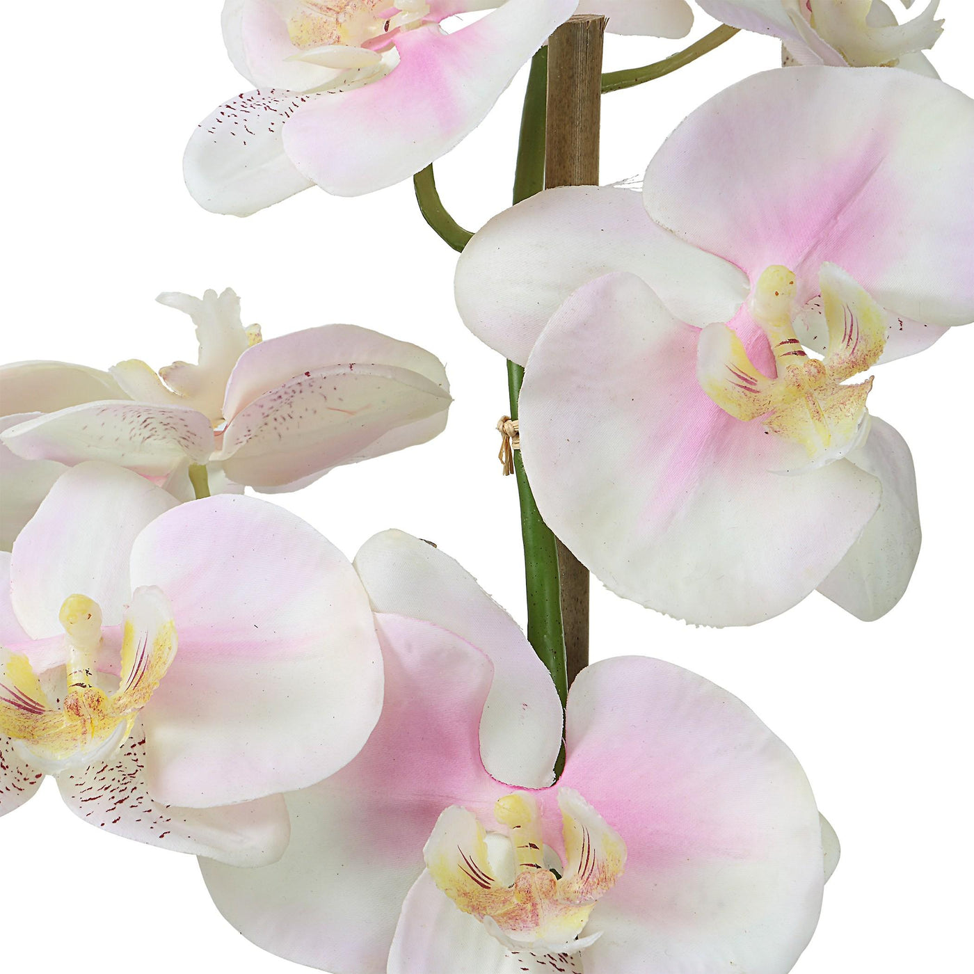 Uttermost Accessories Blush Pink and White Orchid House of Isabella UK
