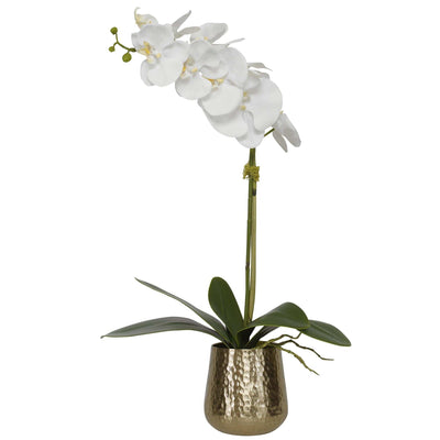 Uttermost Accessories Cami Orchid with Brass Pot House of Isabella UK