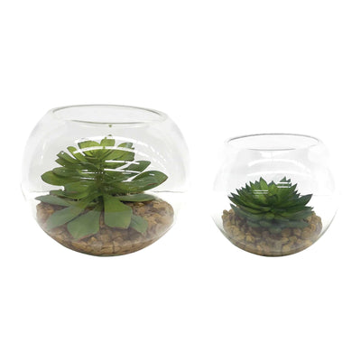 Uttermost Accessories Eloy Terrariums, S/2 House of Isabella UK