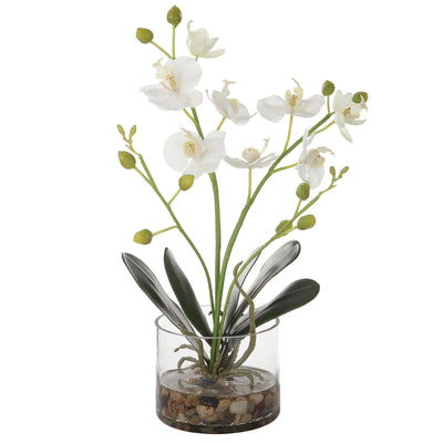 Uttermost Accessories Glory Orchid House of Isabella UK