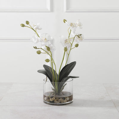 Uttermost Accessories Glory Orchid House of Isabella UK