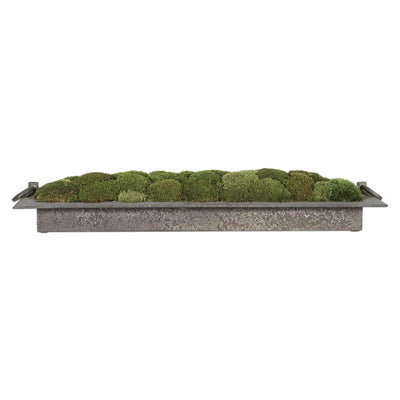 Uttermost Accessories Heath Preserved Moss Tray House of Isabella UK