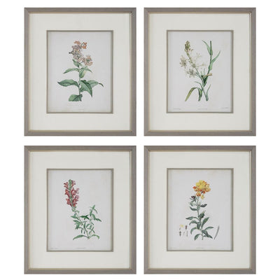 Uttermost Accessories Heirloom Blooms Study Framed Prints Set/4 House of Isabella UK
