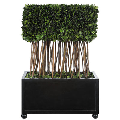 Uttermost Accessories Preserved Boxwood Rectangular Topiary House of Isabella UK