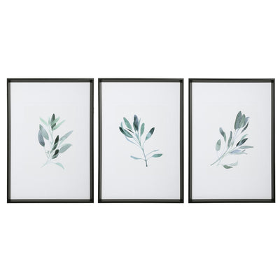 Uttermost Accessories Simple Sage Watercolor Prints, S/3 House of Isabella UK