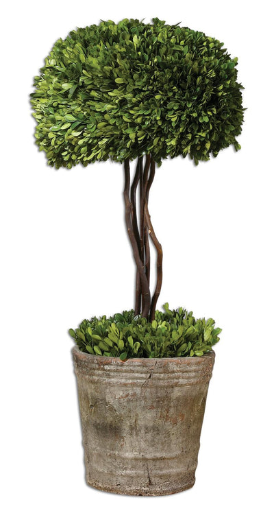 Uttermost Accessories Tree Topiary Preserved Boxwood House of Isabella UK