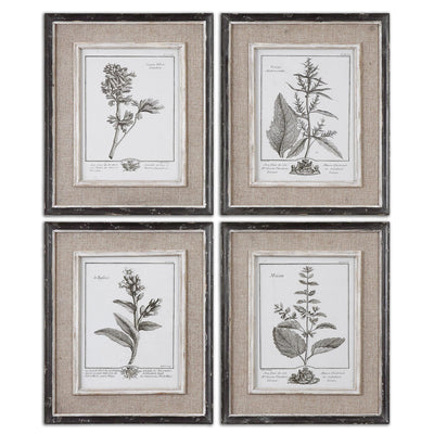 Uttermost Accessories Uttermost Casual Grey Study Framed Art Set/4 House of Isabella UK