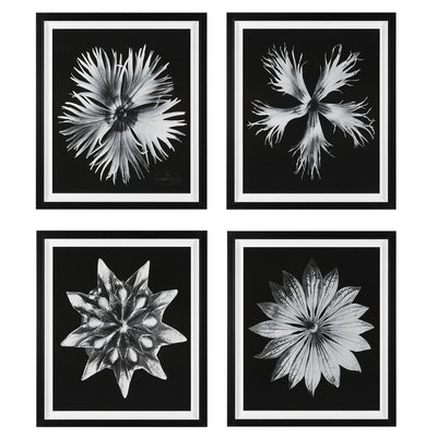 Uttermost Accessories Uttermost Contemporary Floret Framed Prints, S/4 House of Isabella UK