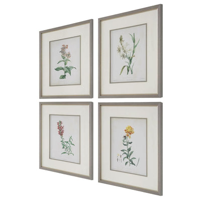Uttermost Accessories Uttermost Heirloom Blooms Study Framed Prints Set/4 House of Isabella UK
