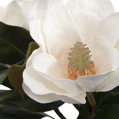 Uttermost Accessories Uttermost Middleton Magnolia Flower Centerpiece House of Isabella UK